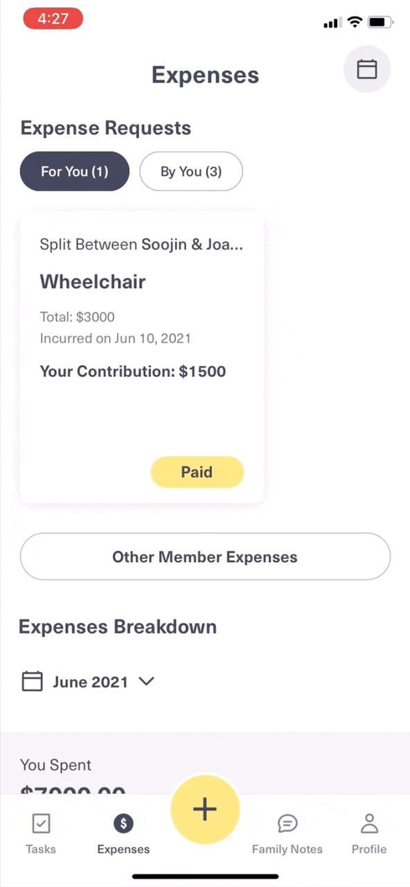 Tracking expenses